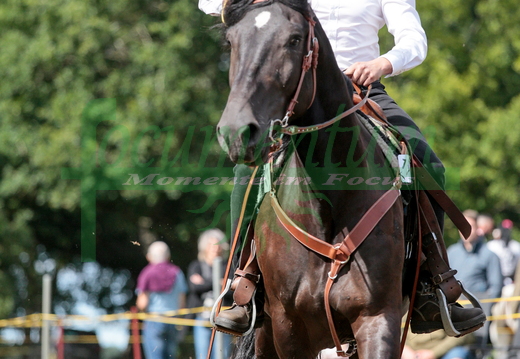 Tonnenabschlagen 2025